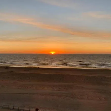Malu Located In The Heart Of * Koksijde